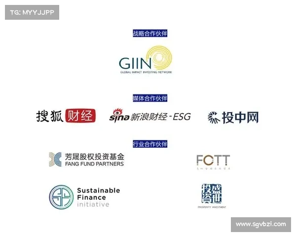 预期将在美国选举中运用的新颖影响操作策略 媒体