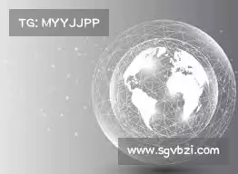 海鸥加速器永久免费版的特点——提升安全管理，轻松掌握权限，让您无忧应对各种信息挑战！